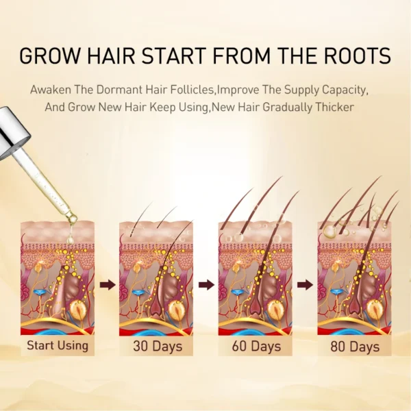 PURC Ginger Hair Oil Scalp Hair Strengthening Hair Toots Improvement Hairline Hair Care Essential Oil for Men and Women - Image 5